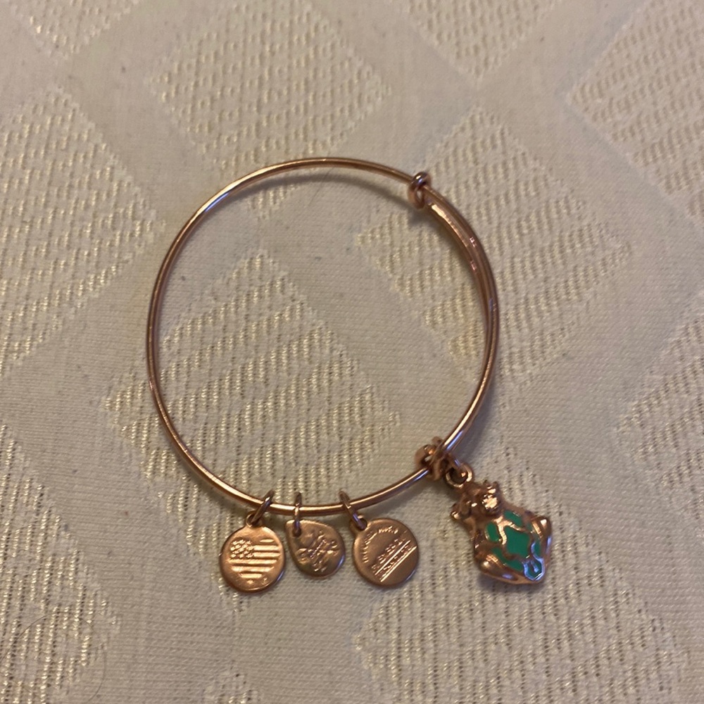 Alex and Ani Rose Gold Frog Prince slider bracelet.